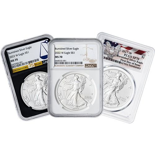 NGC\u002FPCGS\u0020MS\u002FSP\u002D70\u00201\u0020oz\u0020American\u0020Silver\u0020Eagle\u0020Burnished\u0020Coin\u0020\u002D\u0020Random\u0020Year