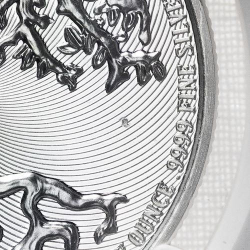 2023 1 oz Mint Error NGC MS-69 Obverse Struck Thru Tree of Life