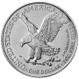 1 oz American Silver Eagles Coin (Random Year) | Lowest Price Online thumbnail