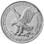 Buy 2022 American Silver Eagle Coins - Lowest Price Guarantee thumbnail