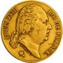 20 Franc French Gold Coin Avg Circulated - Random Year thumbnail