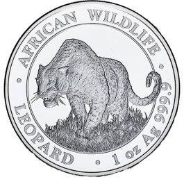 2023_somalia_silver_leopard_1_