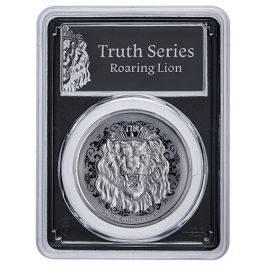 相似象学会誌　相似象　第八号 2024-ni-silverroaringlion-pcgs