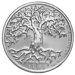 2024 Niue Silver Dragon Year Fractional Set | Littleton Coin