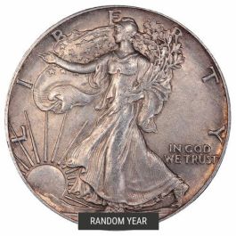 1 oz American Silver Eagles in Cull Condition - Random Year