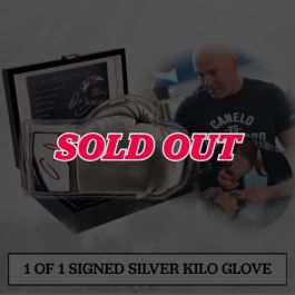 Buy 2025 1 Kilo Celebrity Mint Dana White Silver Boxing Glove