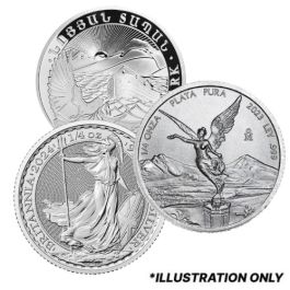 1/4 oz Silver Coins - Design Our Choice