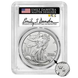 2024年　イーグル銀貨 FIRST STRIKE STAR privy 2024 P Mint 1 oz Silver Eagle - NGC First Star Unc.