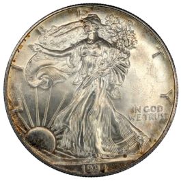 M*中様 1994 Walking Liberty Silver Coin 銀貨 1994 American Silver