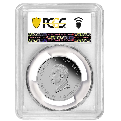 Buy 2025 PCGS PR-70 First Strike 1 oz Year of the Snake Proof