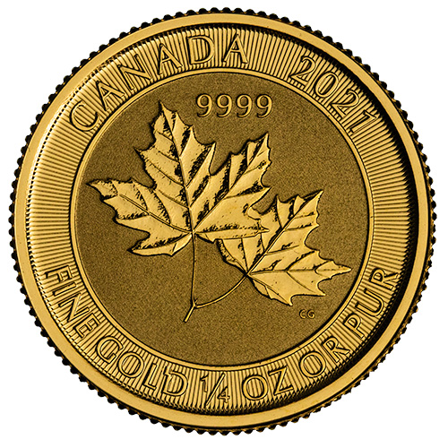 1/4 oz Gold Twin Maple Coin - Random Year