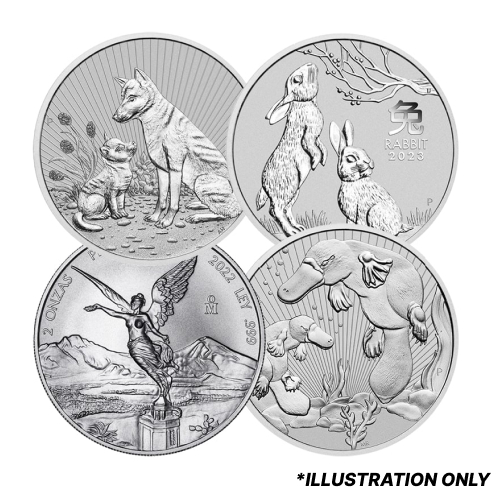 2 oz Silver Coin - Design Our Choice