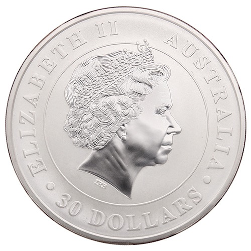 Buy 2013 1 Kilo Australian Koala Silver Coin | SD Bullion