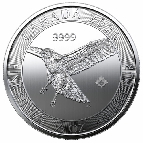2020 1/2 oz Canadian Birds of Prey Series - Red-Tailed Hawk Silver Coin