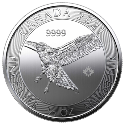 2021 1/2 oz Red Tailed Hawk Silver Coin - Birds of Prey Series
