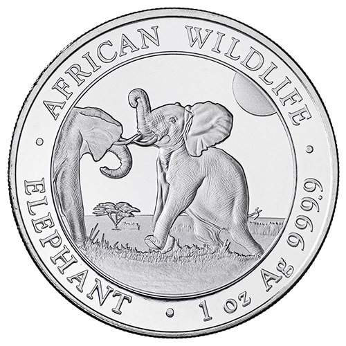 2024 1 oz Somalia Elephant Silver Coin