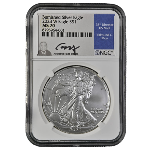 2023 Burnished Silver Eagle Coins