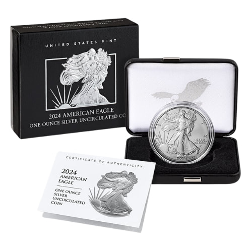 2024-W 1 oz American Silver Eagle Burnished Coin with Box and COA