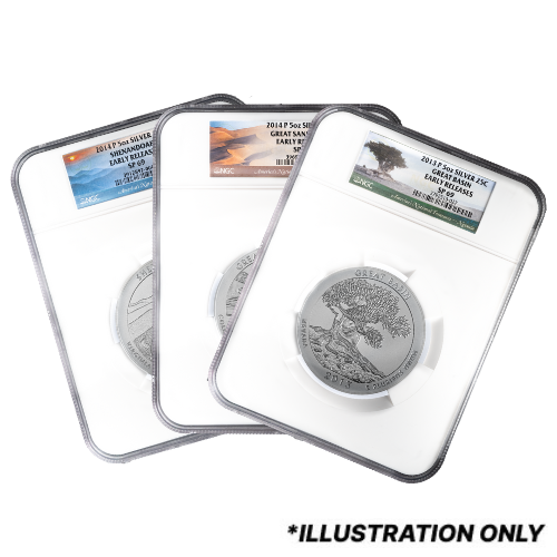 Random MS/SP-69 5 oz America The Beautiful Burnished Silver Coin