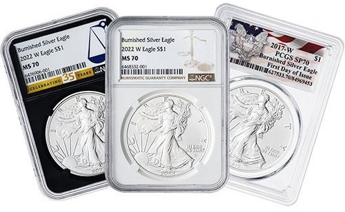 NGC/PCGS MS/SP-70 1 oz American Silver Eagle Burnished Coin - Random Year