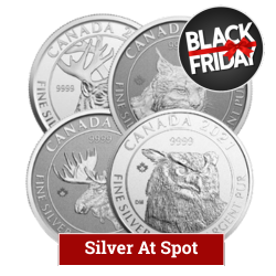 3/4 oz Royal Canadian Mint Silver Coin - Design Our Choice