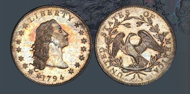 Flowing Hair Silver Dollar